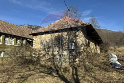 Casă cu 2 camere cu Teren 1884 Mp în Izvoarele (Livezile) - 12