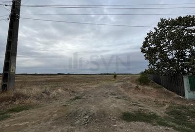 Teren Construcții intravilan de 1700 mp, în Merii - 1