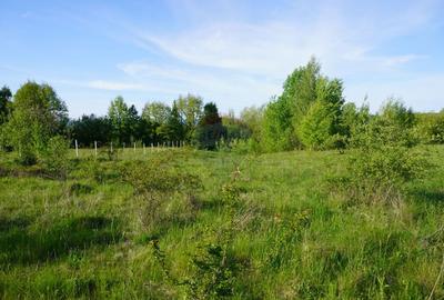 Teren Construcții intravilan de 38592 mp, în Sud-Vest - 23