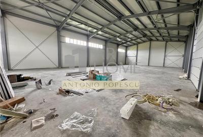 Hala industriala constructie noua, in Tatarani, la 10 minute de Ploiesti - 12