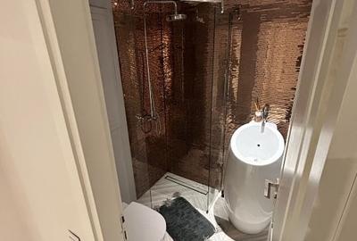 Inchiriez apartament 3 camere,decomandate,mobilat si utilat la 5 minute de mall Promenada - 6