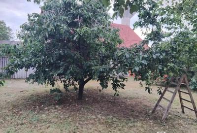 Casă cu 7 camere cu Teren 777 Mp în Chișineu-Criș - 15