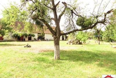 Casa cu teren 4,3 hectare in Livada ( ID 22148) - 15