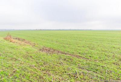 CERNICA - POSTA - TEREN INTRAVILAN CONSTRUCTII 15000 MP! - 7