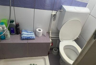 Casa cu gradina si anexe de vanzare, Balta, com. Runcu, Gorj - 14