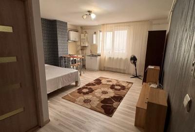 Garsonieră decomandată, mobilată în Craiovița Nouă - 2