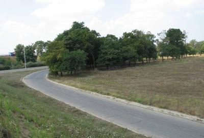 Teren Construcții intravilan de 3324 mp, în Nord - 4