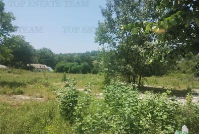 Teren intravilan construibil, excelent potential investition - 8