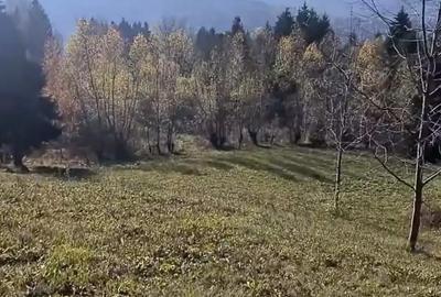 Teren de 3900 mp, în Sud - 5