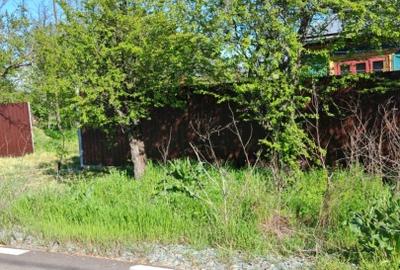 Teren agricol intravilan de 2050 mp, în Valea Măcrișului - 16