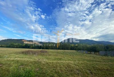 Teren Construcții intravilan de 13820 mp, în Bartolomeu - 1