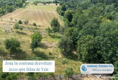 Spațiu comercial, de 195 mp, în Budureasa - 1
