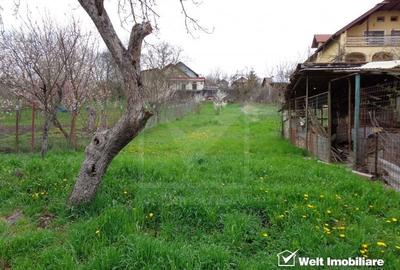 2 case alipite, teren la comun 1067 mp, demisol si parter, Dambul Rotund - 2