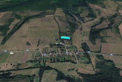 Teren de 4300 mp, în Bogda - 2