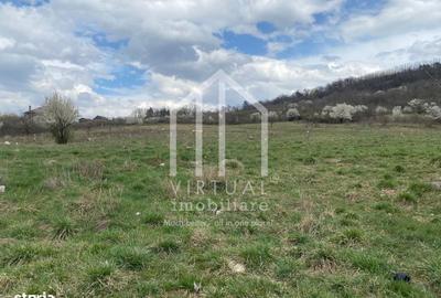 Spațiu comercial, în Gușterița - 5