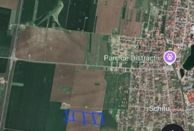 Costinesti /10.000 mp , Intravilan , ideal constructie cartier de case - 2