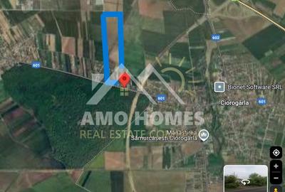 Teren Construcții intravilan de 5000 mp, în Ciorogârla - 2
