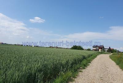 Teren cu vedere la lac Balotesti 600mp - 10