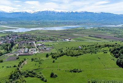 Teren agricol extravilan de 500 mp, în Bradu - 10