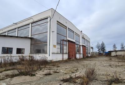 Brasov hala industriala 2000 mp cu platforma betonata - 6