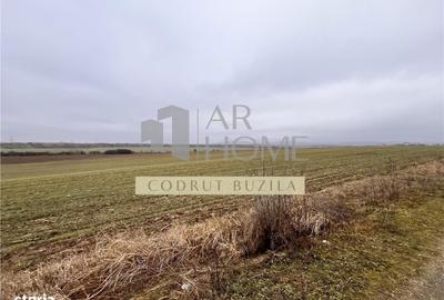 Spațiu comercial, în Bucov - 2