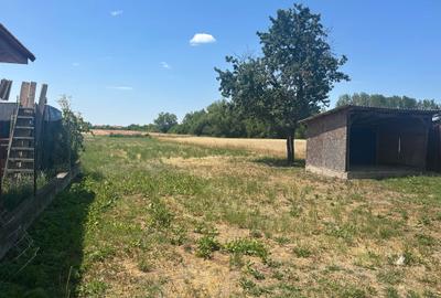 Casă cu 2 camere în Cheșa - 6