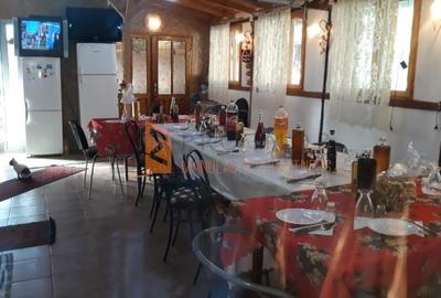 Complex turistic + teren 2000 mp in zona Sarata Monteoru - 13