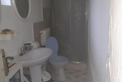 Casa batraneasca de vanzare - 2