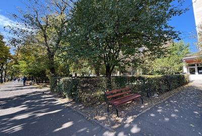 Apartament 1 camera, parter, zona Vivo Mall - 4