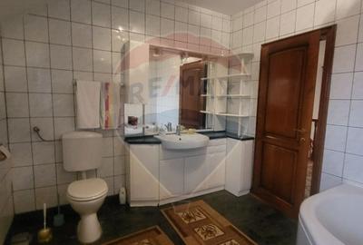 Vila impunatoare in Cartierul Functionarilor - 24