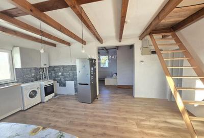 Casa 3 camere si curte cu pomi fructiferi - 2