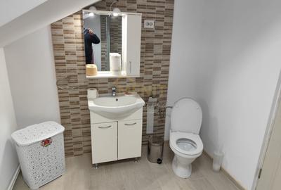 Casă individuală cu 6 camere cu Teren 2756 Mp în Băicoi - 17