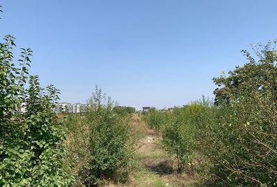 Teren de 960 mp, în Agigea - 2