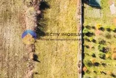 TEREN intravilan GARCINA langa PIATRA-NEAMT - 7