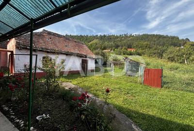 Casa saseasca de vanzare + bonus doua terenuri Seica Mare Sibiu - 7
