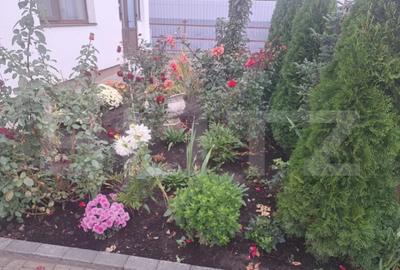 Casă cu 3 camere cu Canalizare în Sânpetru - 10