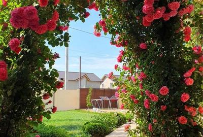 Casă cu 4 camere în Albești - 2