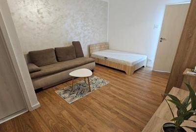 Garsoniera DRUMUL TABEREI - 2