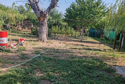 Casă cu 4 camere cu Teren 10000 Mp în Bârca - 4