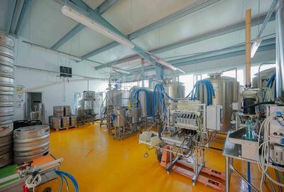 Hala industriala, Parcul Industrial Bors II, De Vanzare - 11