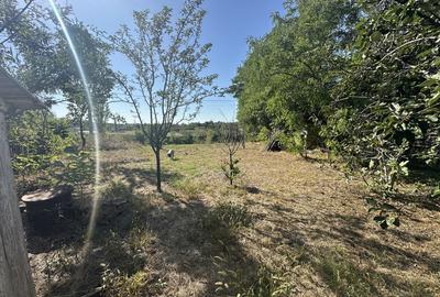 Suditi, Posta Calnau, Buzau - 5