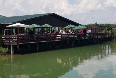 Teren privat cu amenajari ptr evenimente,cazare și pescuit sportiv. - 5