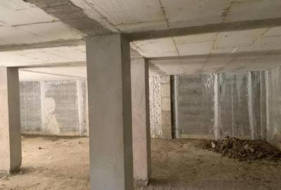 Casă cu Teren 220 Mp în Elisabetin - 2