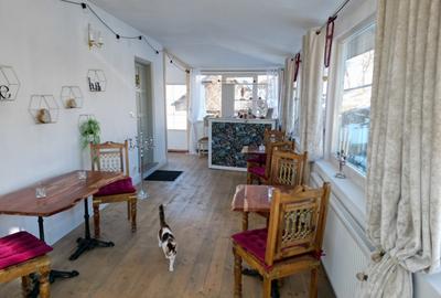 Casă individuală cu 5 camere cu Teren 3400 Mp în Peștera - 16