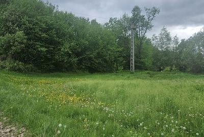 Spațiu comercial, în Rodna - 2