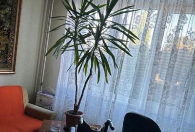 Apartament de 4 camere ( BOXA-CENTRALA )-Craiter - 2