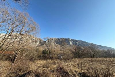 Spațiu comercial, în Rimetea - 1