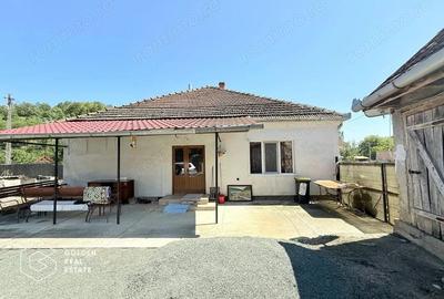 Casă cu 3 camere cu Teren 2591 Mp în Nicolae Bălcescu - 10