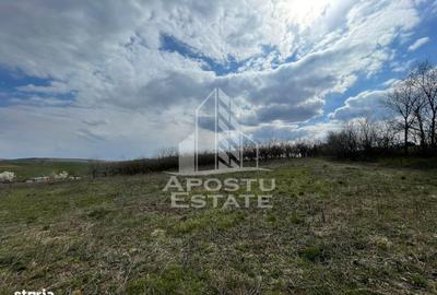 Teren de 2896 mp, în Moșnița Nouă - 2