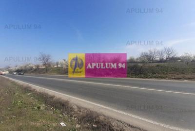 Teren Construcții intravilan de 4800 mp, în Glina - 4